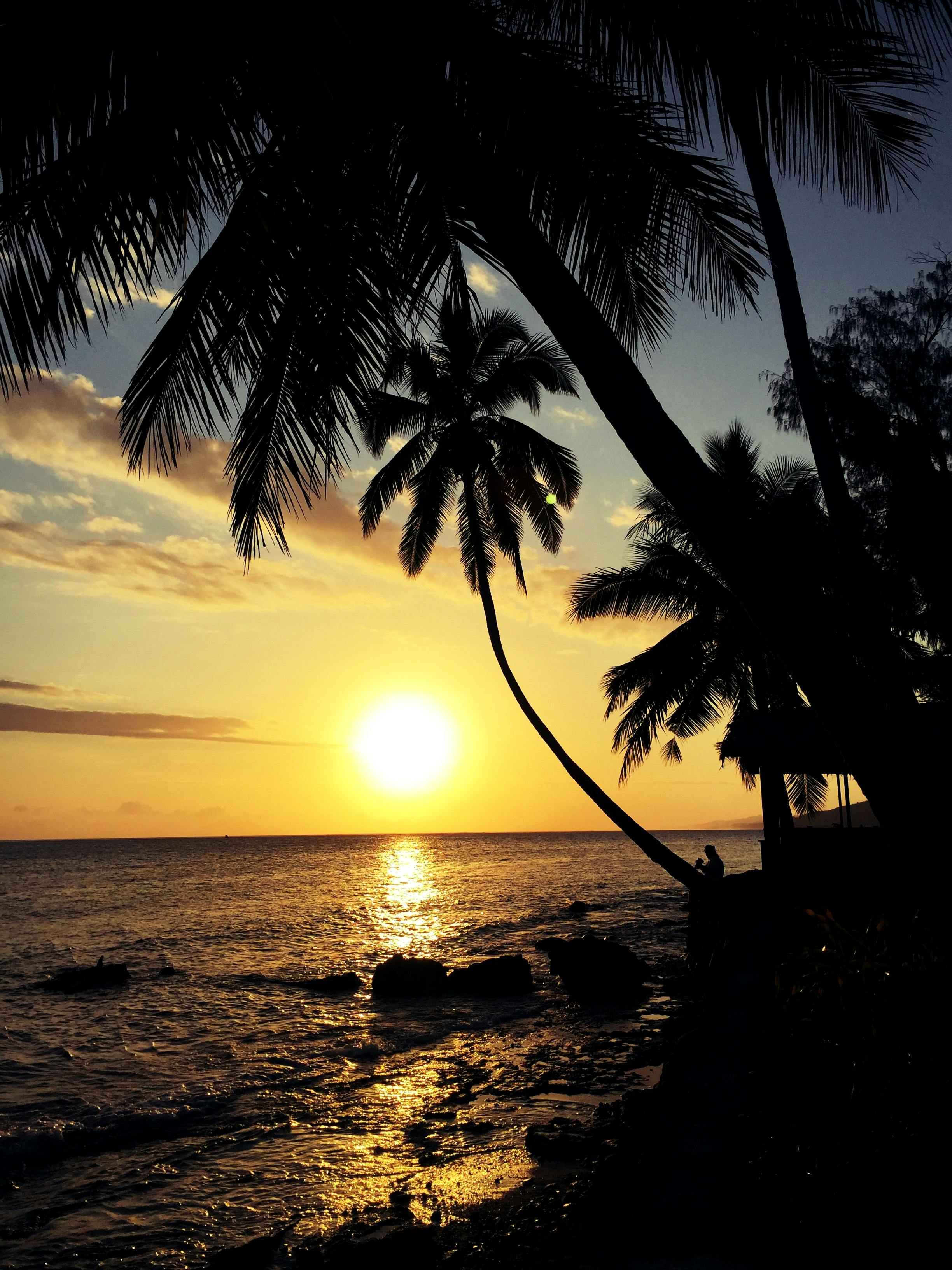 Puesta De Sol En La Playa · Fotos De Stock Gratuitas