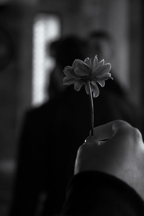 Black and White Photo of a Hand Holding a Flower 