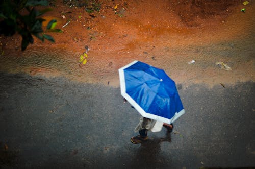 Free stock photo of rainy day, umbrella