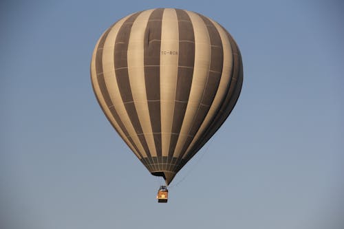 Hot Air Balloon Flying