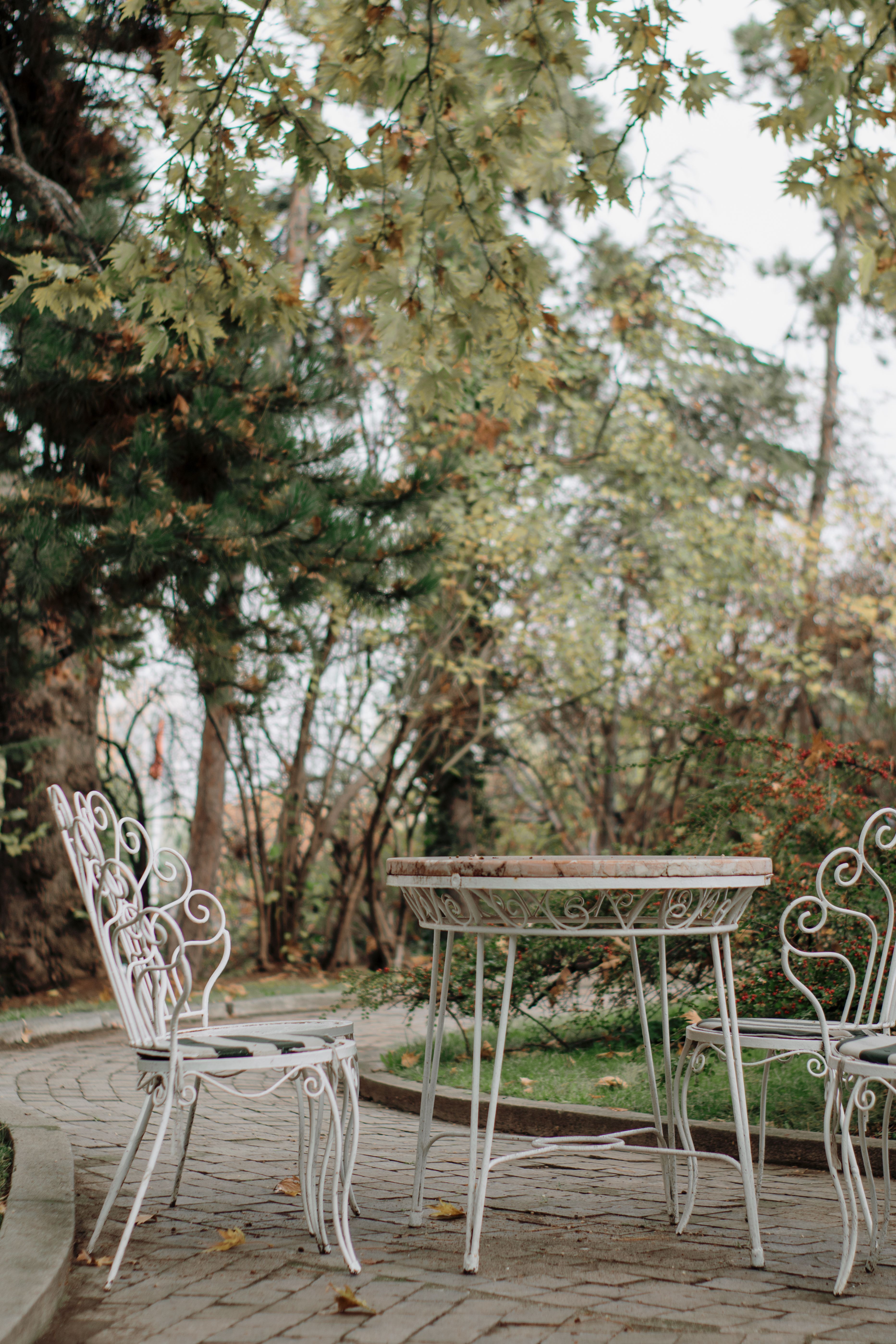 A designed and built residential landscape in Bend