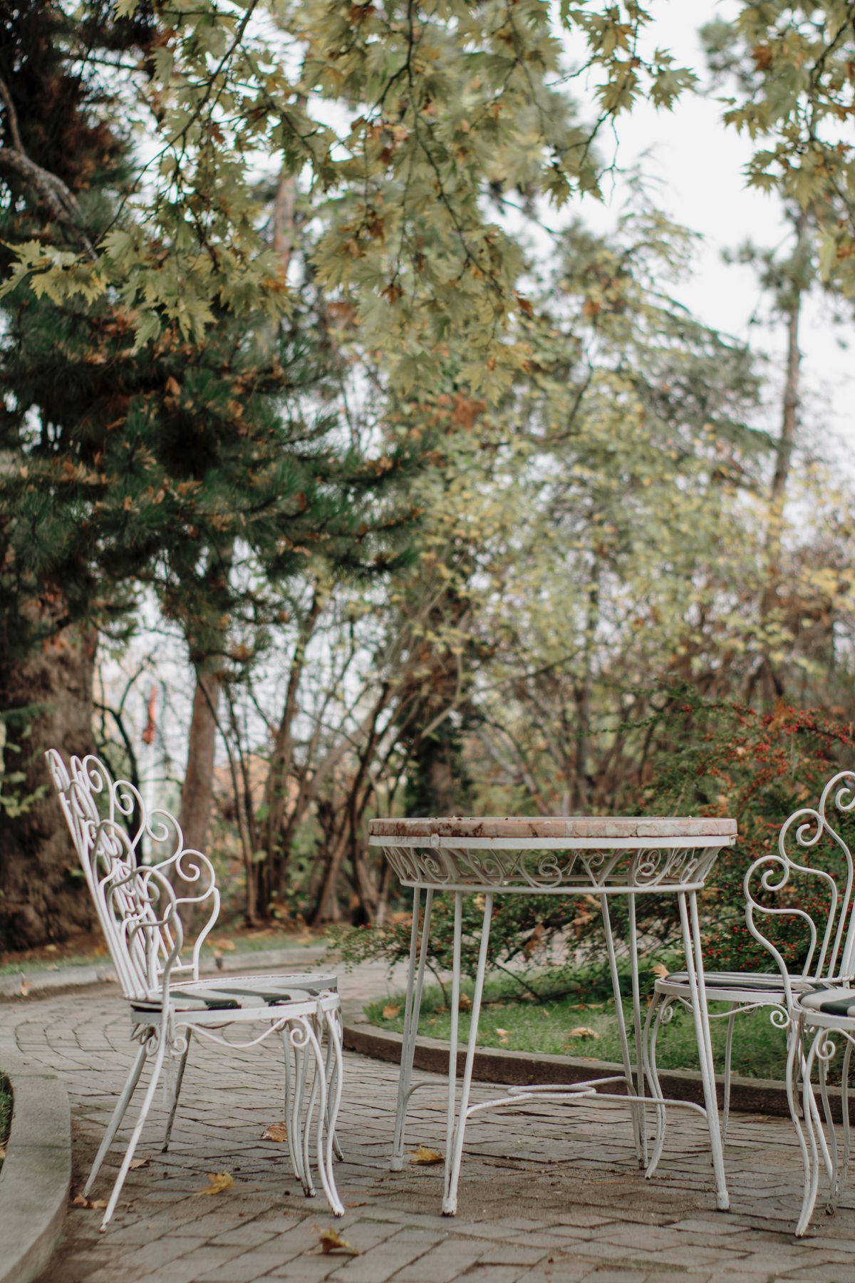 Charming iron chairs and table set in a lush park setting. Ideal for outdoor leisure. Stock Photo.