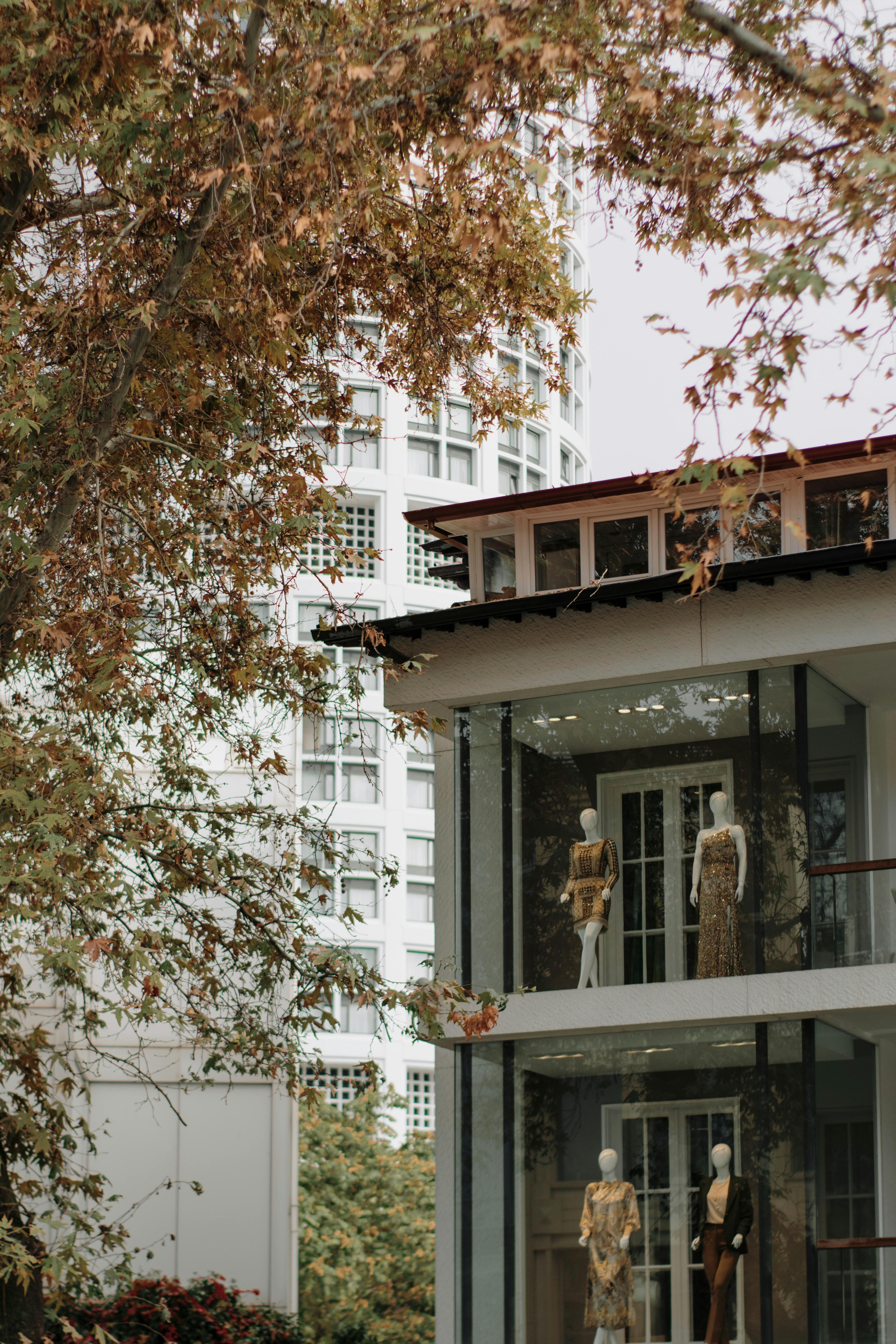 Mannequins Standing in a Shop Window, Ankara, Turkey · Free Stock Photo