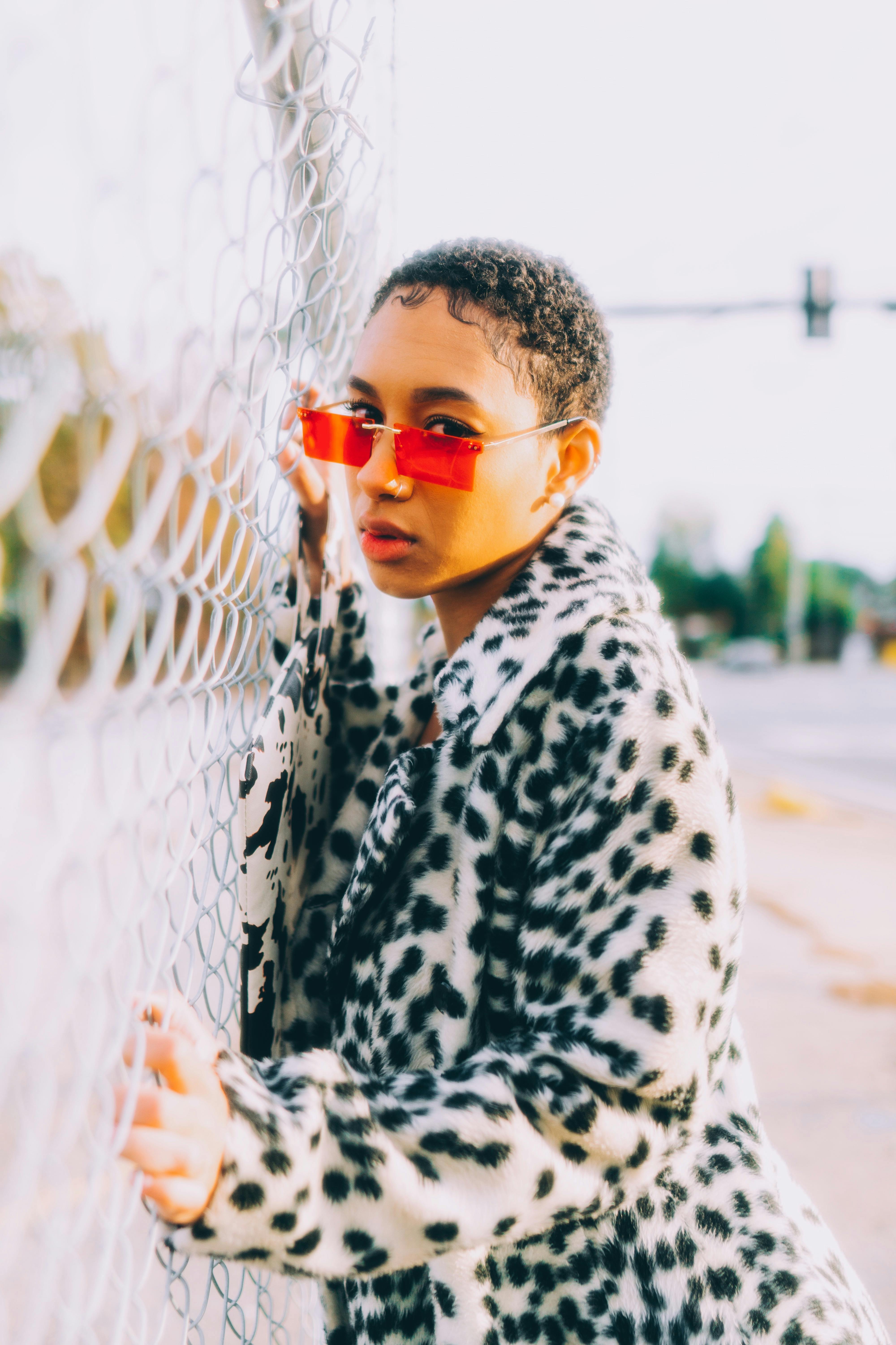 Gratuit Modèle En Vison Dalmatien Photos