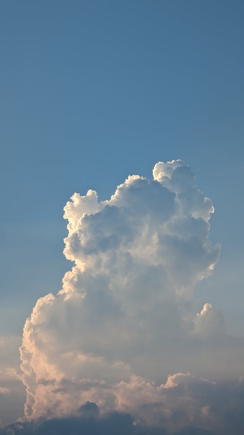 夕方, 太陽の光, 美しい空の無料の写真素材