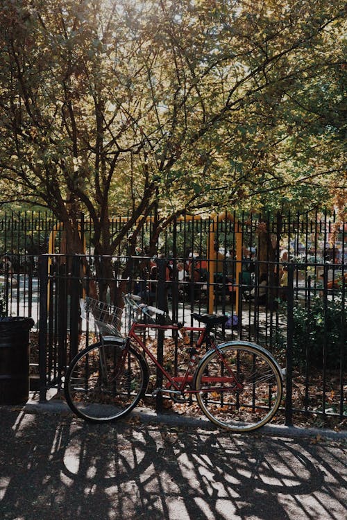 Foto d'estoc gratuïta de arbres, bici, parc