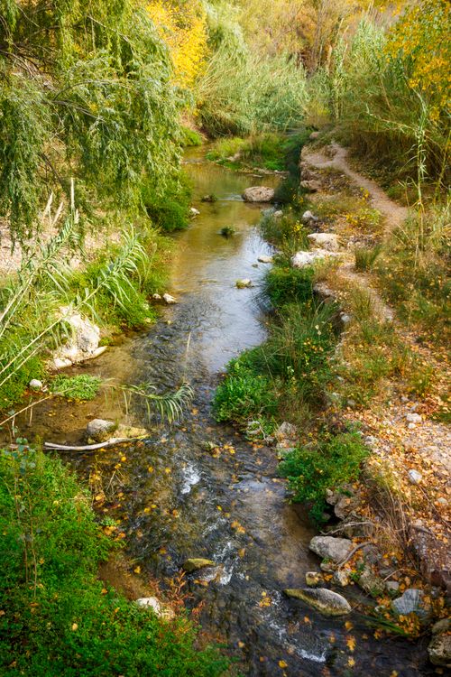 Free Serene rural stream with lush green surroundings and a footpath, perfect for nature enthusiasts. Stock Photo