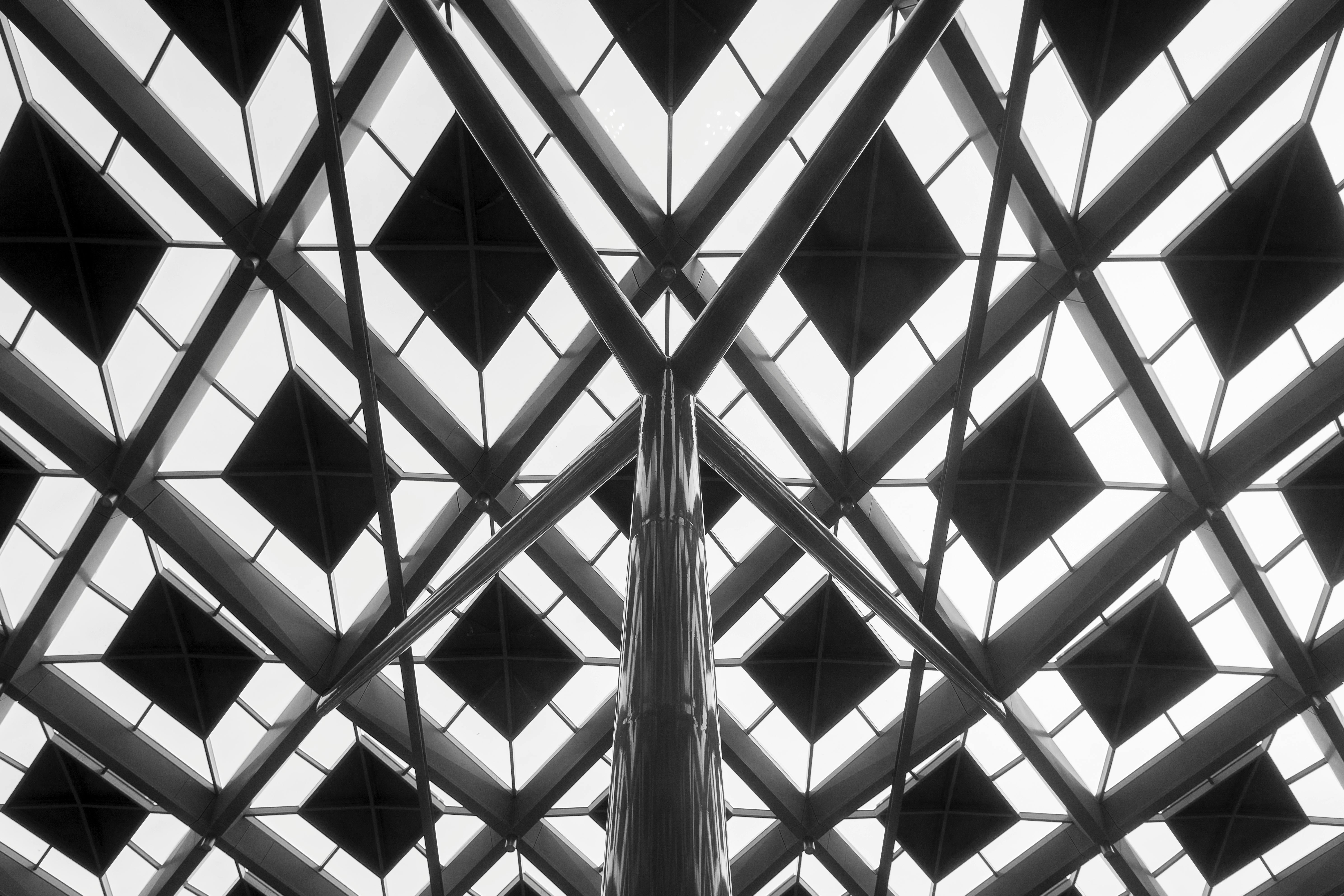 Den Haag’s Creative Scene: Small, Serious, and Nothing Like Amsterdam