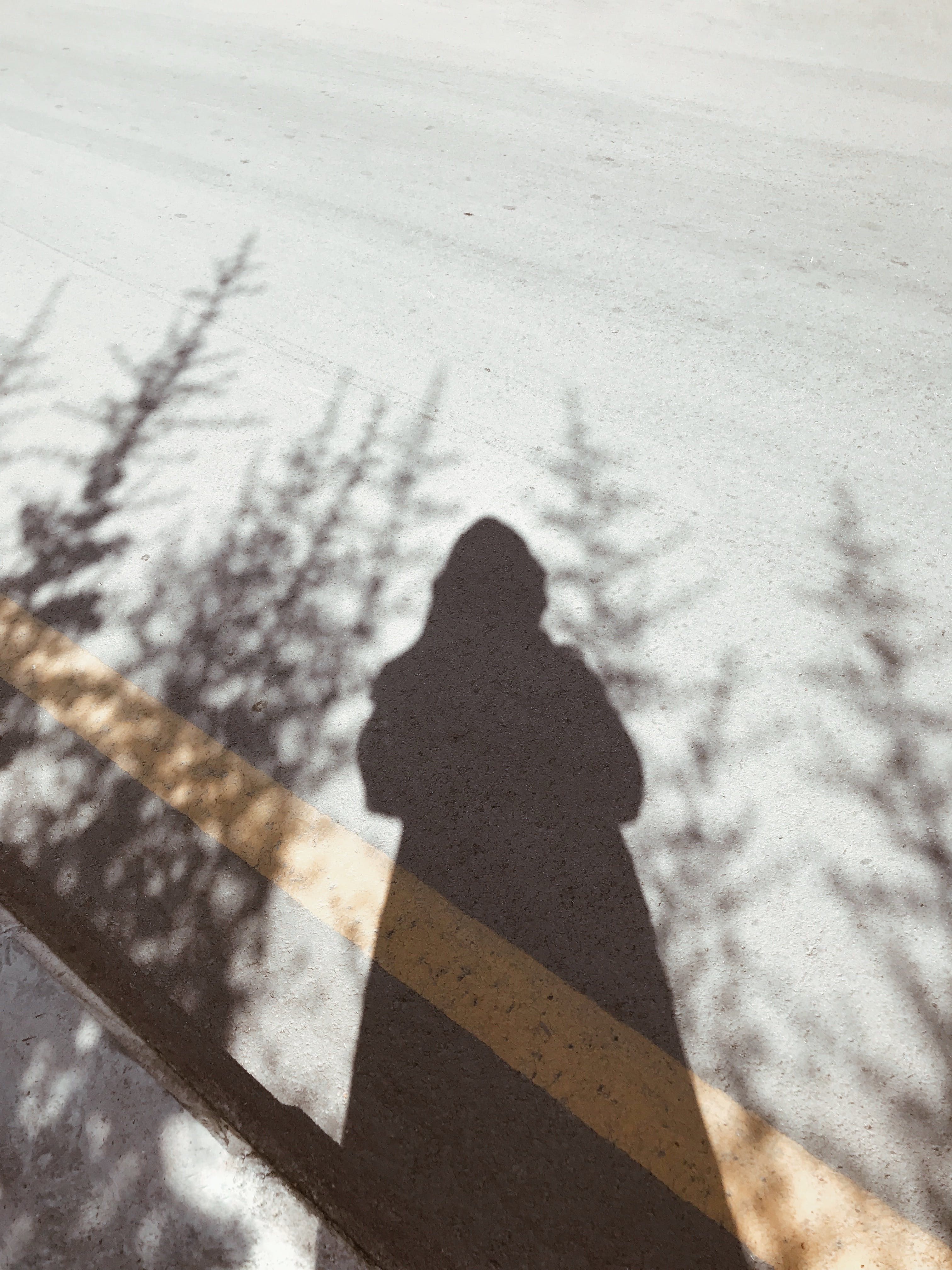 Shadow silhouette of a person on a sunlit roadside, capturing abstract shapes and shadows.