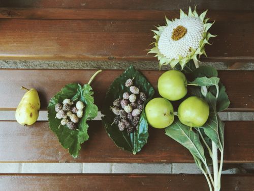 Free A top view of fresh fruits and a sunflower on a wooden surface. Stock Photo