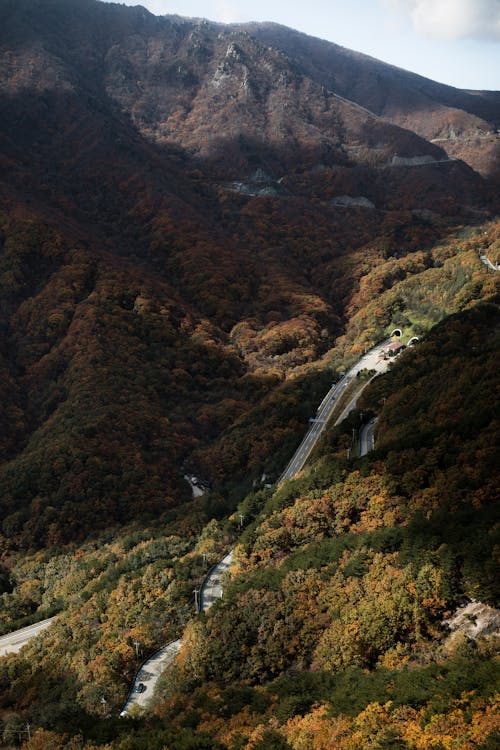 Foto d'estoc gratuïta de bosc, carretera, foto des d'un dron