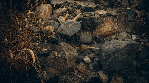 Fotobanka s bezplatnými fotkami na tému dno, kamene, narušili