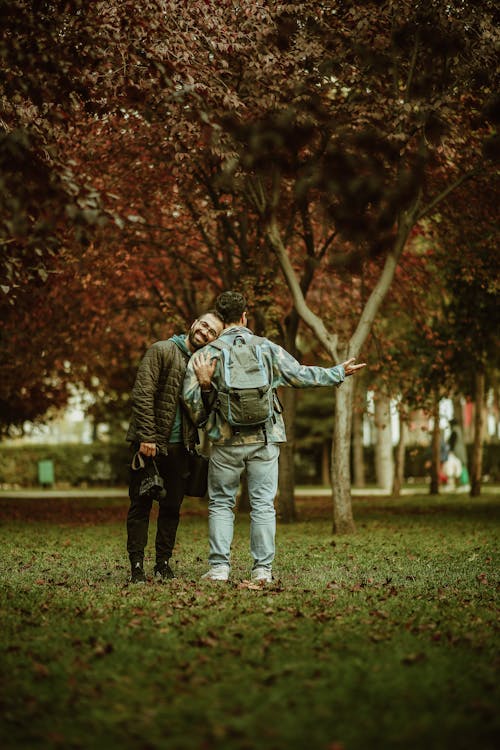 Immagine gratuita di alberi, autunno, cadere