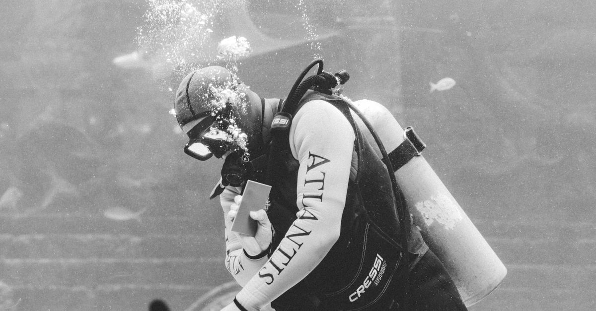 Free Stock Photo Of Aquarium Atlantis Bahamas Resort free-stock-photo-of-aquarium-atlantis-bahamas-resort