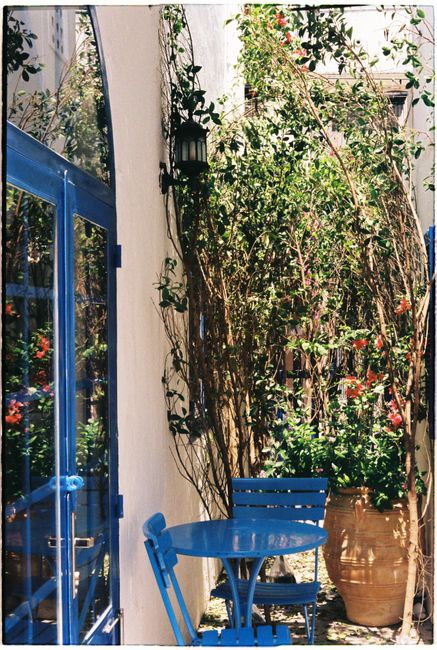 A sunny patio with blue furniture surrounded by lush plants and flowers.