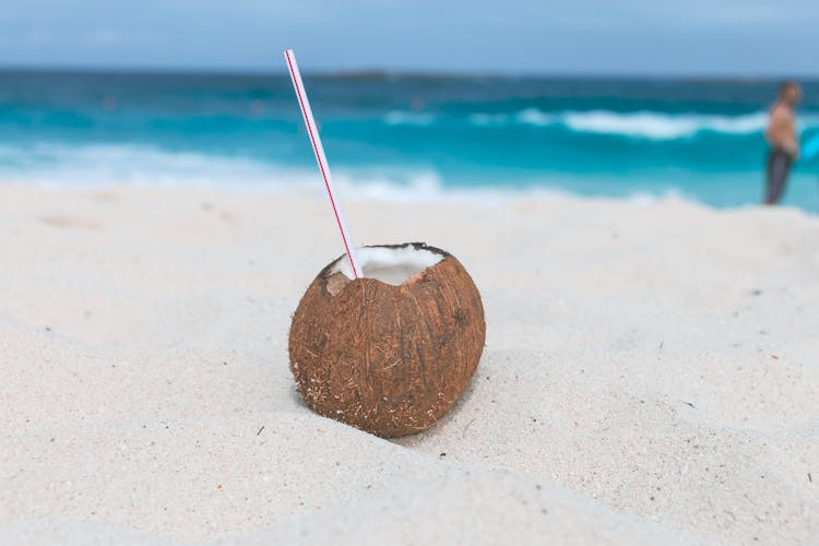 Brown Coconut On Sand