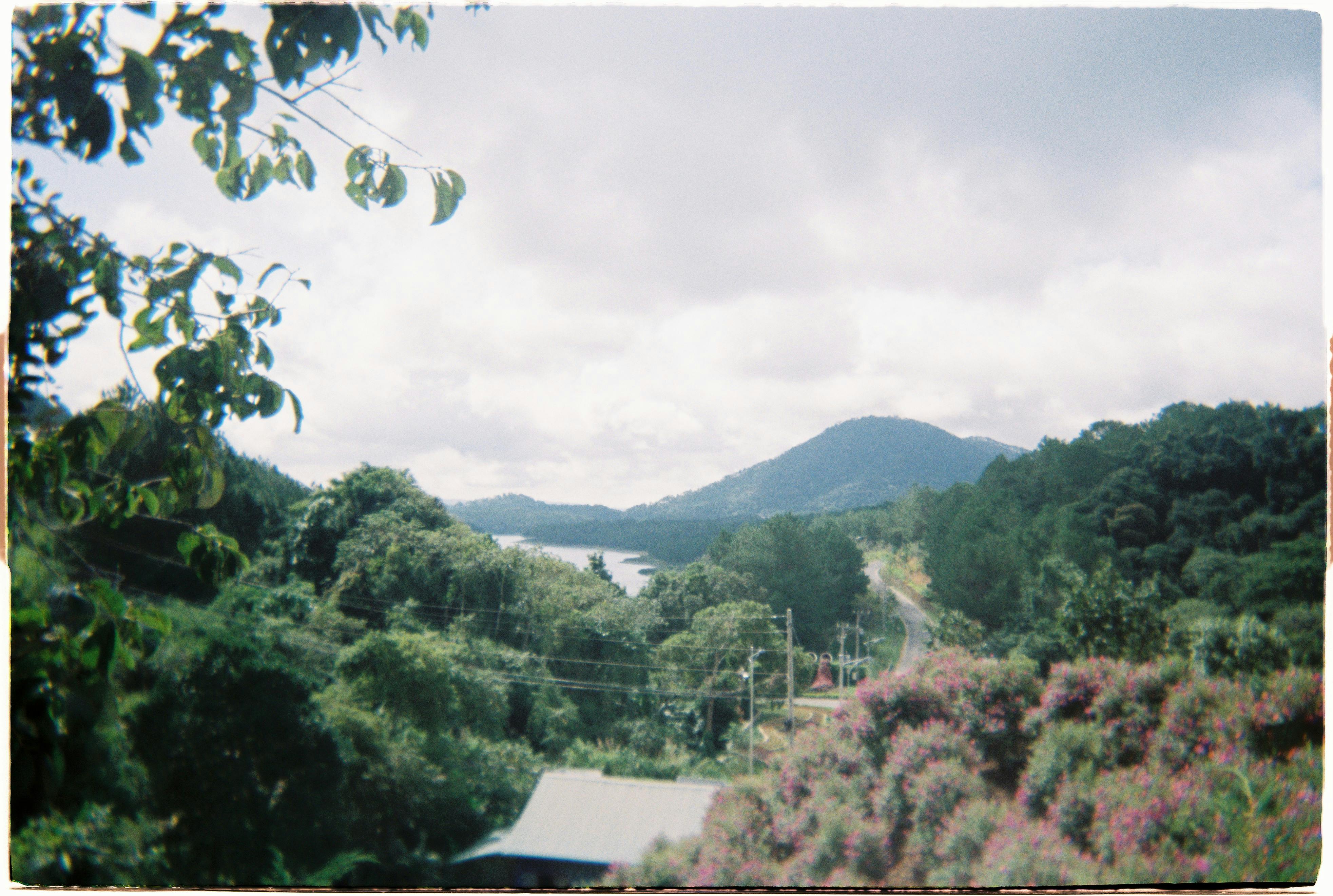 Tranquil view of a mountain landscape with a road and river surrounded by lush greenery.
