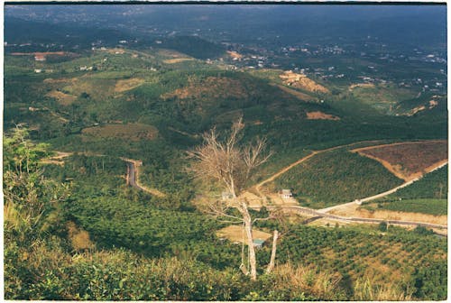 Foto profissional grátis de agricultura, áreas, campos de feno