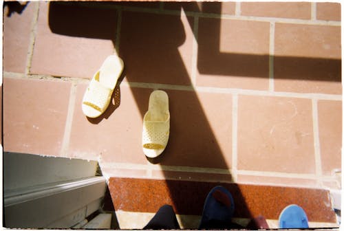 Fotobanka s bezplatnými fotkami na tému flopy, noha, nohy ľudské nohy