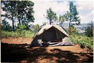 A tent pitched among trees on a sunny day, perfect for a summer camping adventure.