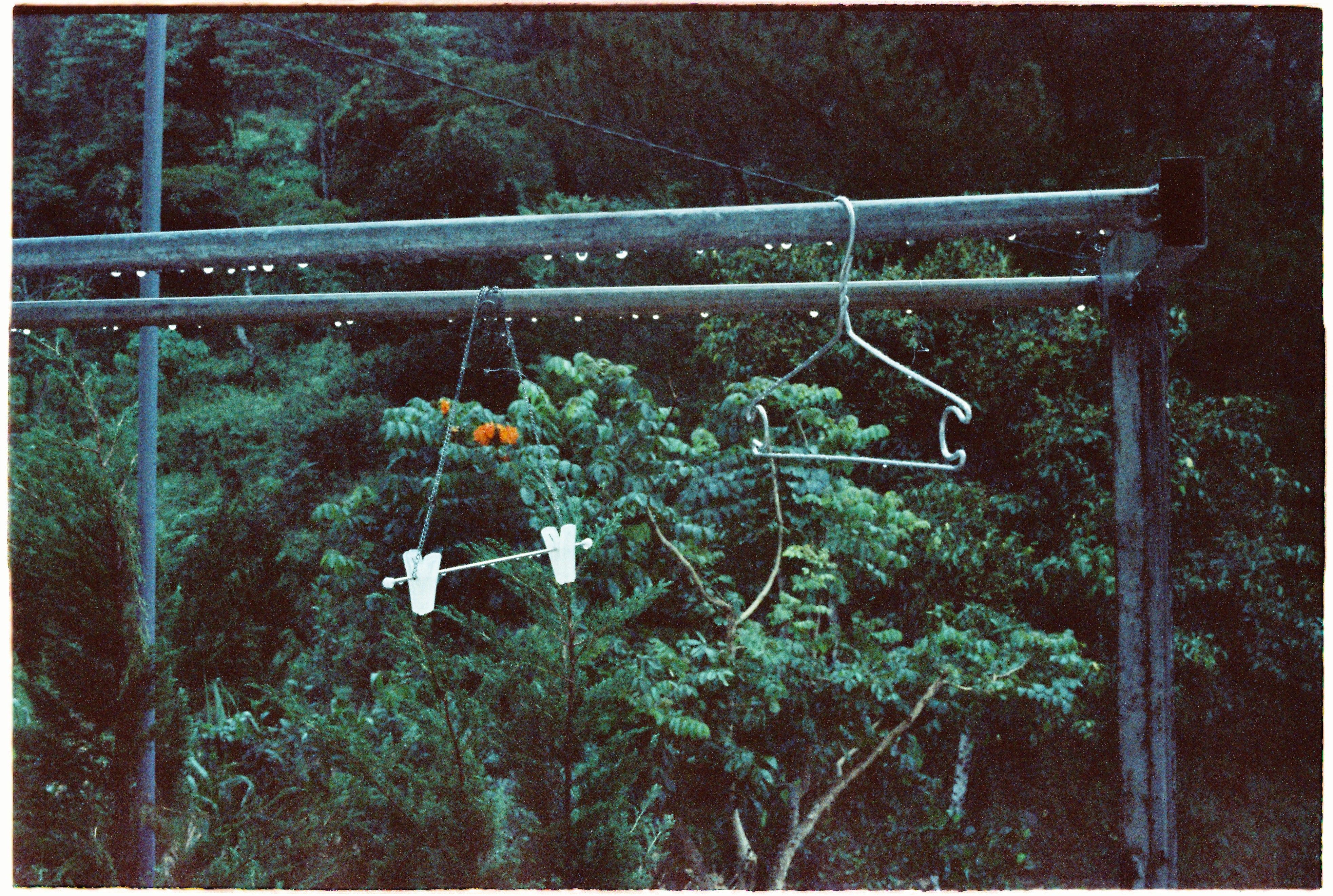 A clothes hanger suspended on a pole amidst a lush, rainy outdoor setting.