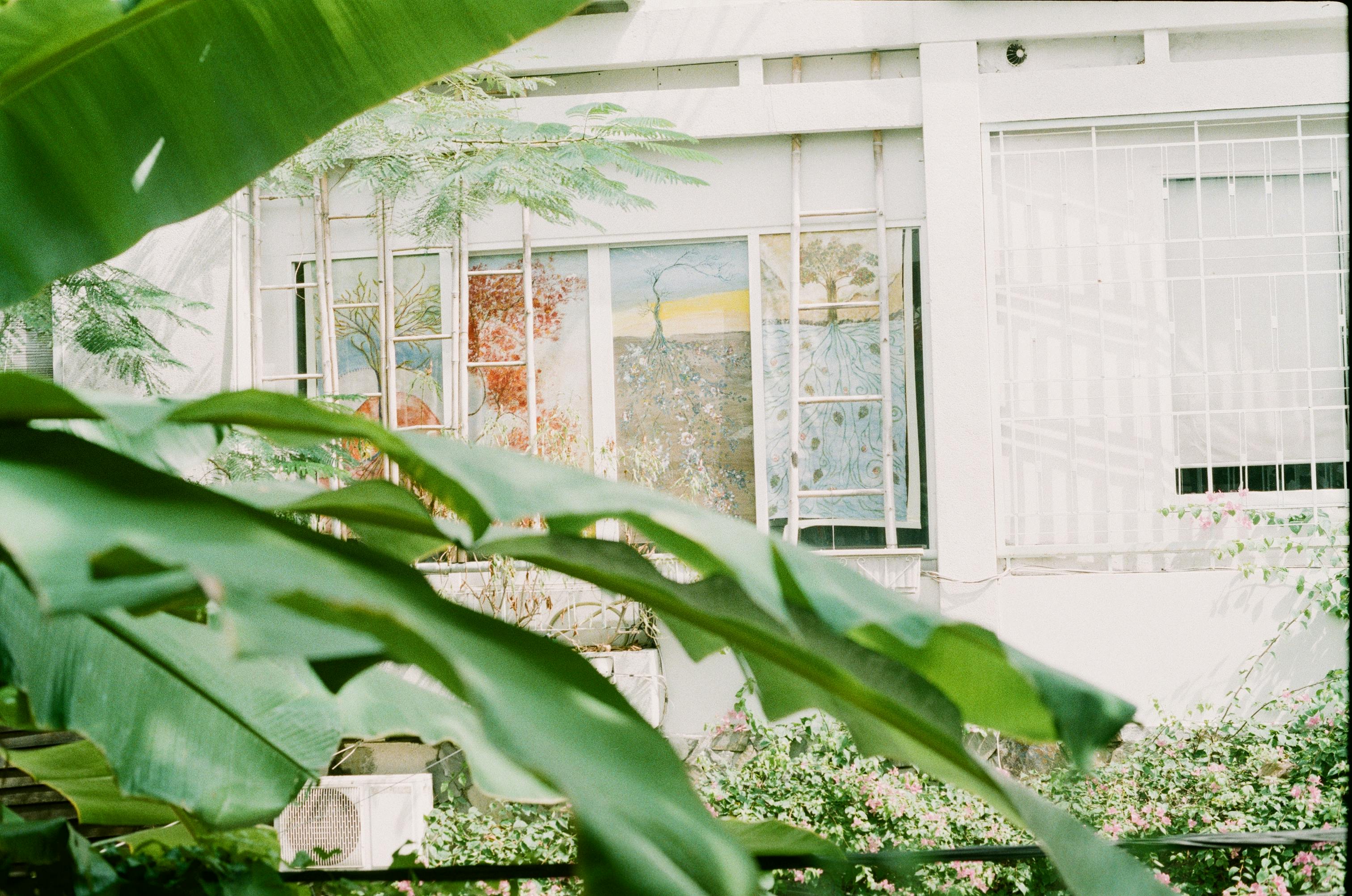 A bright image showcasing tropical plants outside a greenhouse with stained glass artwork.