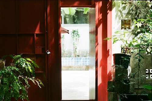 Door in a Greenhouse