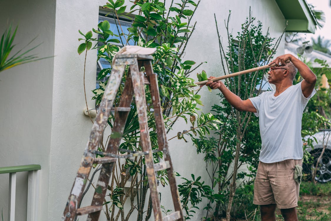 Free Man Painting a House Stock Photo