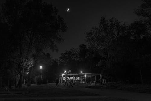 咖啡店, 夜晚的, 燈光 的 免費圖庫相片