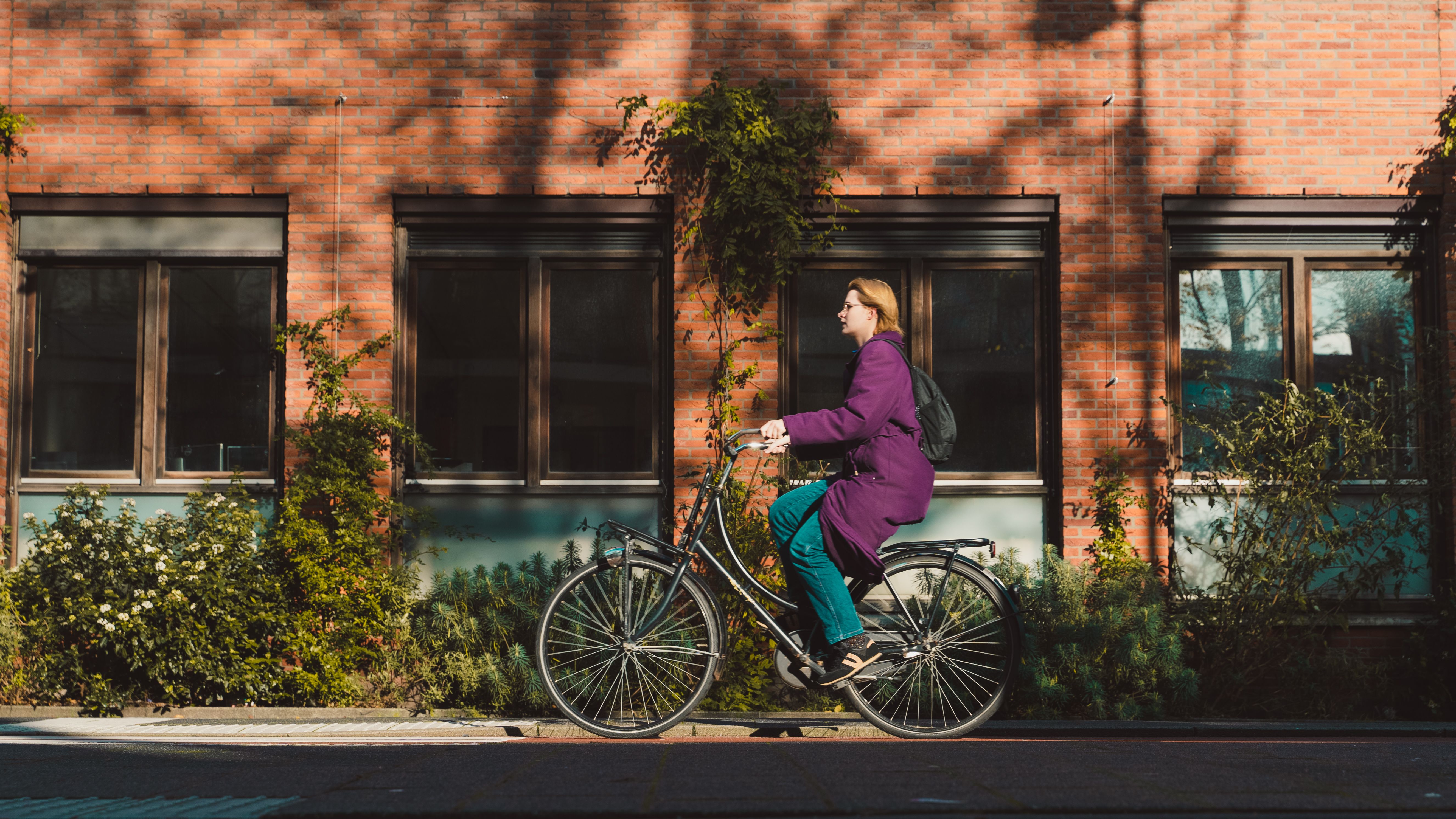 Ride the full cycle ring around town