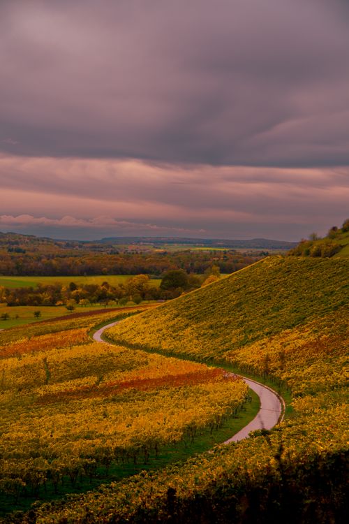 Free A winding road through vibrant autumn hills and meadows in Stuttgart, Germany. Stock Photo