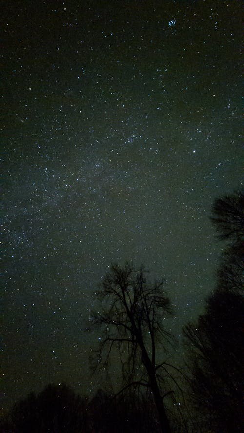 Foto d'estoc gratuïta de astronomia, cel, constel·lació