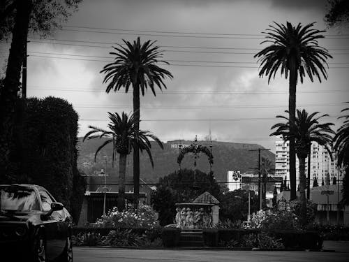 Free stock photo of ford mustang, hollywood