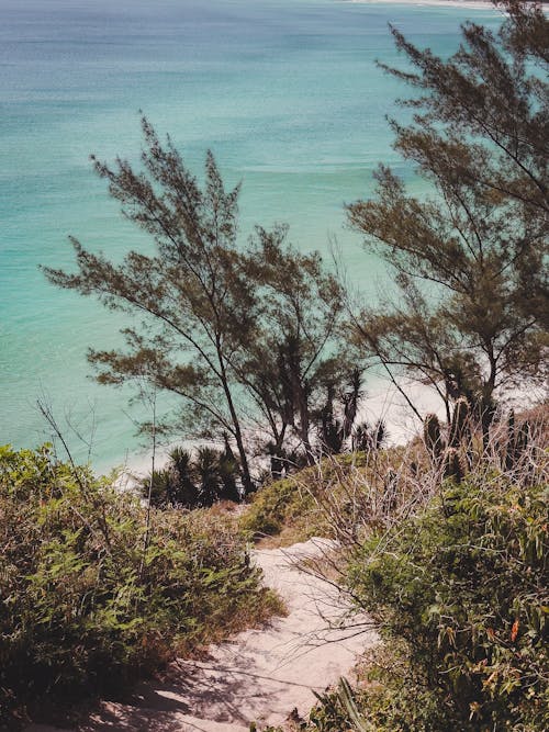 View of a Footpath Leading Down the Hill to the Beach 