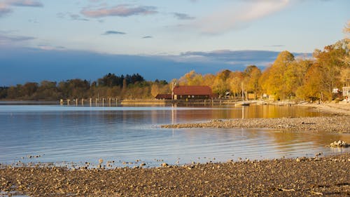 Gratis lagerfoto af efterår, falde, guld