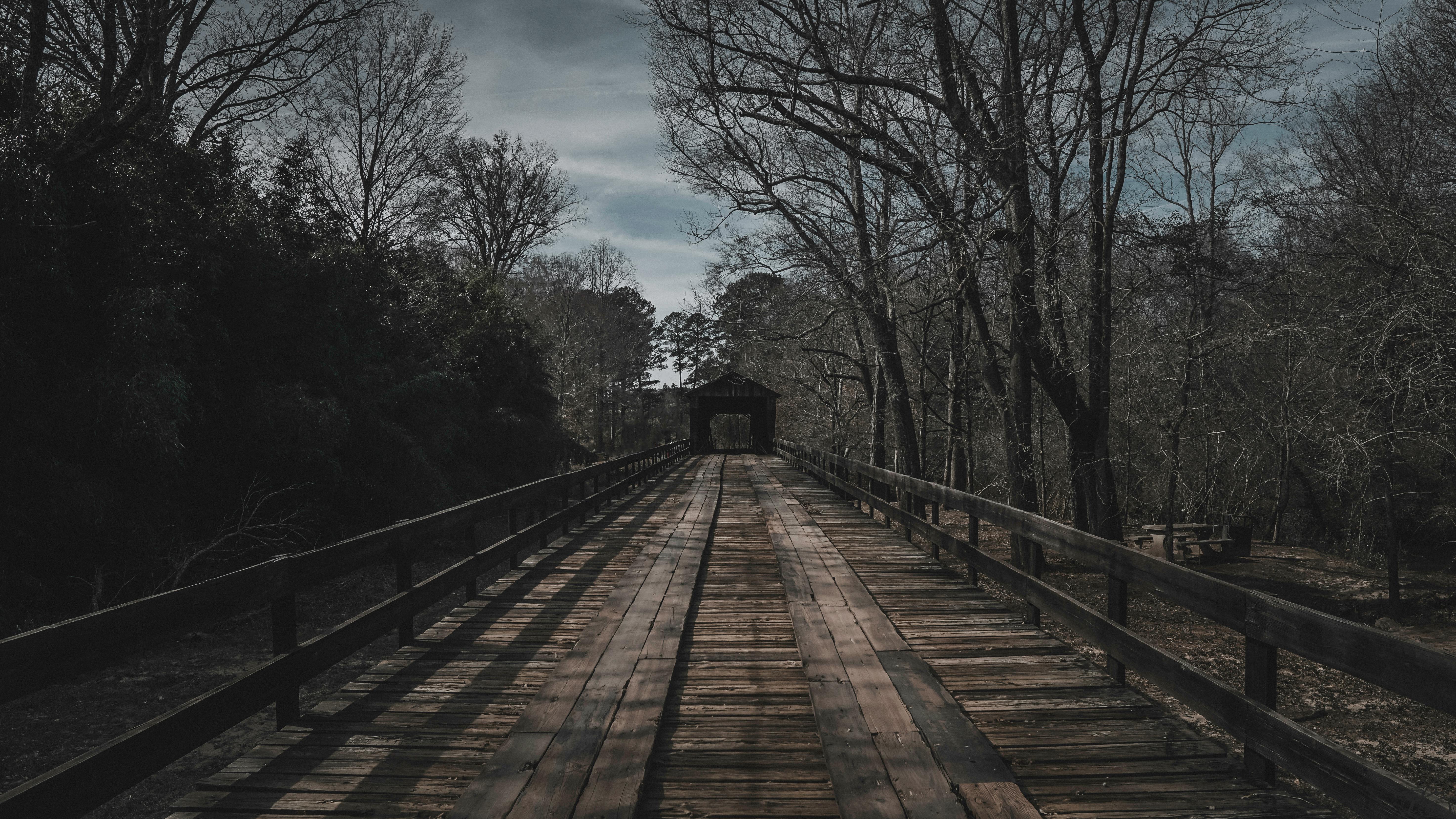 brown wooden bridge