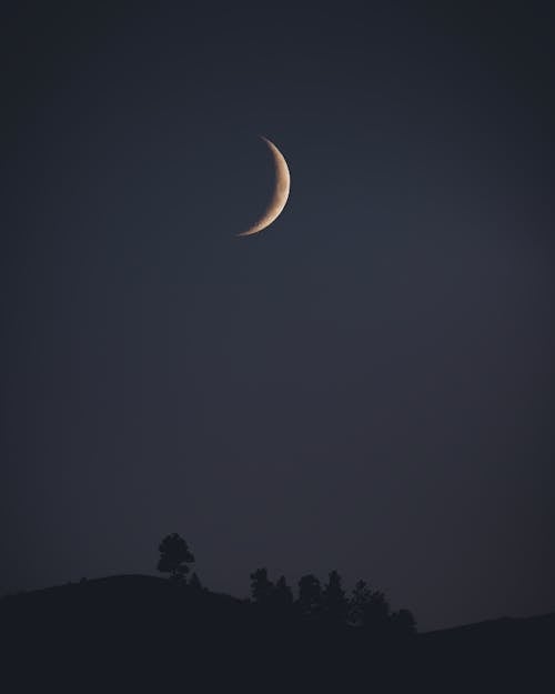 Moon in the Dark Sky 