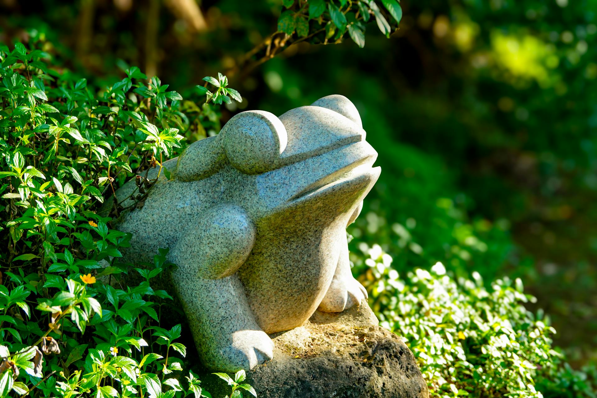 Bright stone frog figurine nestled in a lush Taiwanese garden with sunlit plants.