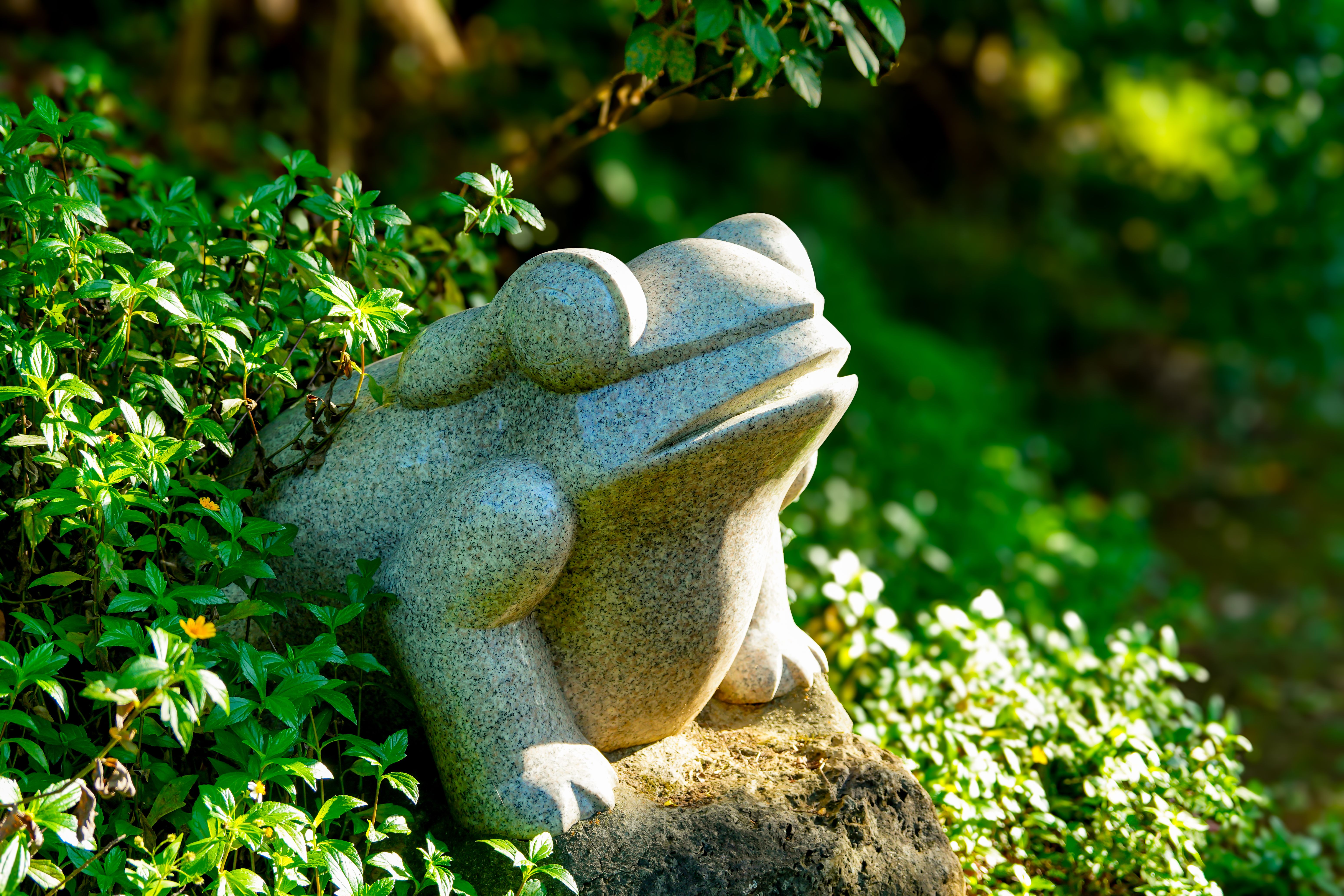 Figurina In Miniatura Per Giardino Delle Fate – Rana Che Pensa Su Roccia, In Resina, Alta 7 Cm, Collezionabile E Decorativa - 3