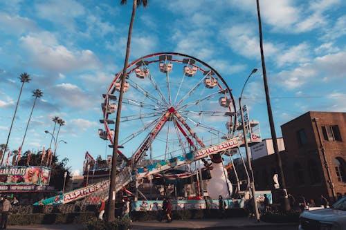 Ferris Wheel in Amusement Park in Town