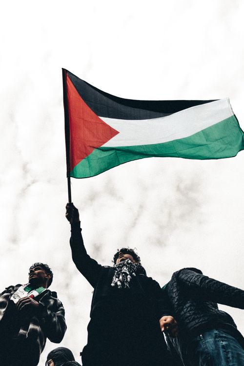 Free A group of protesters hold the Palestinian flag during a demonstration against a cloudy backdrop. Stock Photo