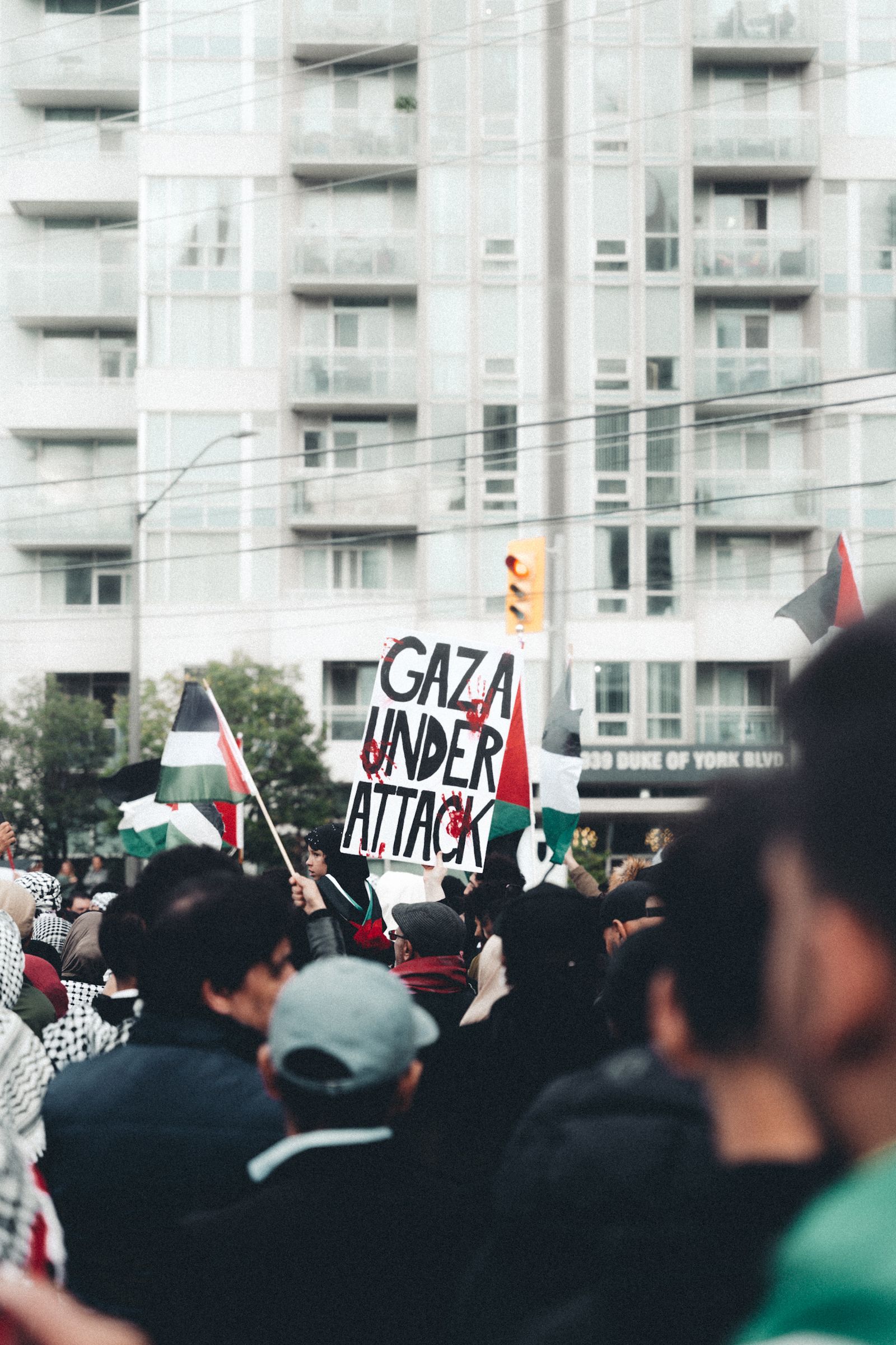 People Rallying on Street · Free Stock Photo