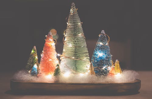 Foto profissional grátis de adereço, animado, árvores de natal