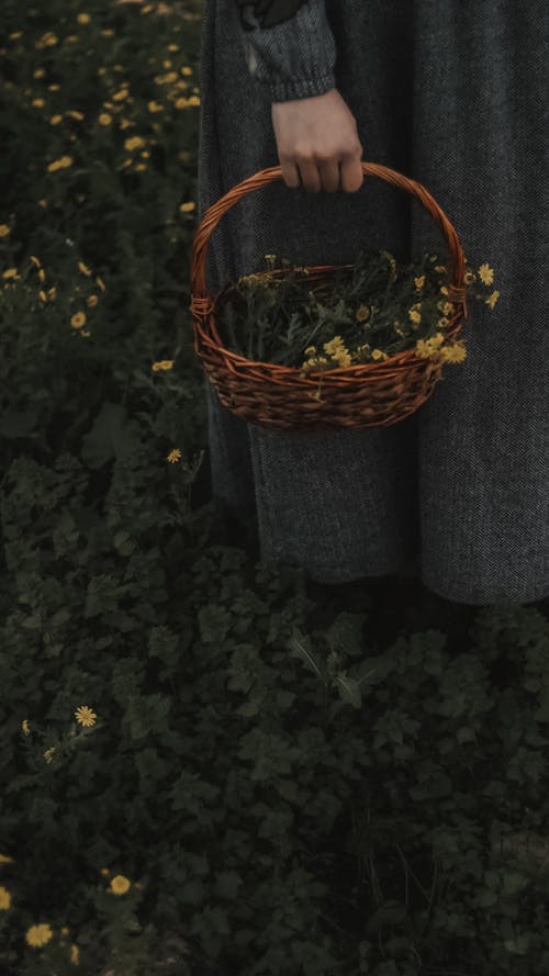 Close-up of Woman in a Dress Holding a Basket of Flowers