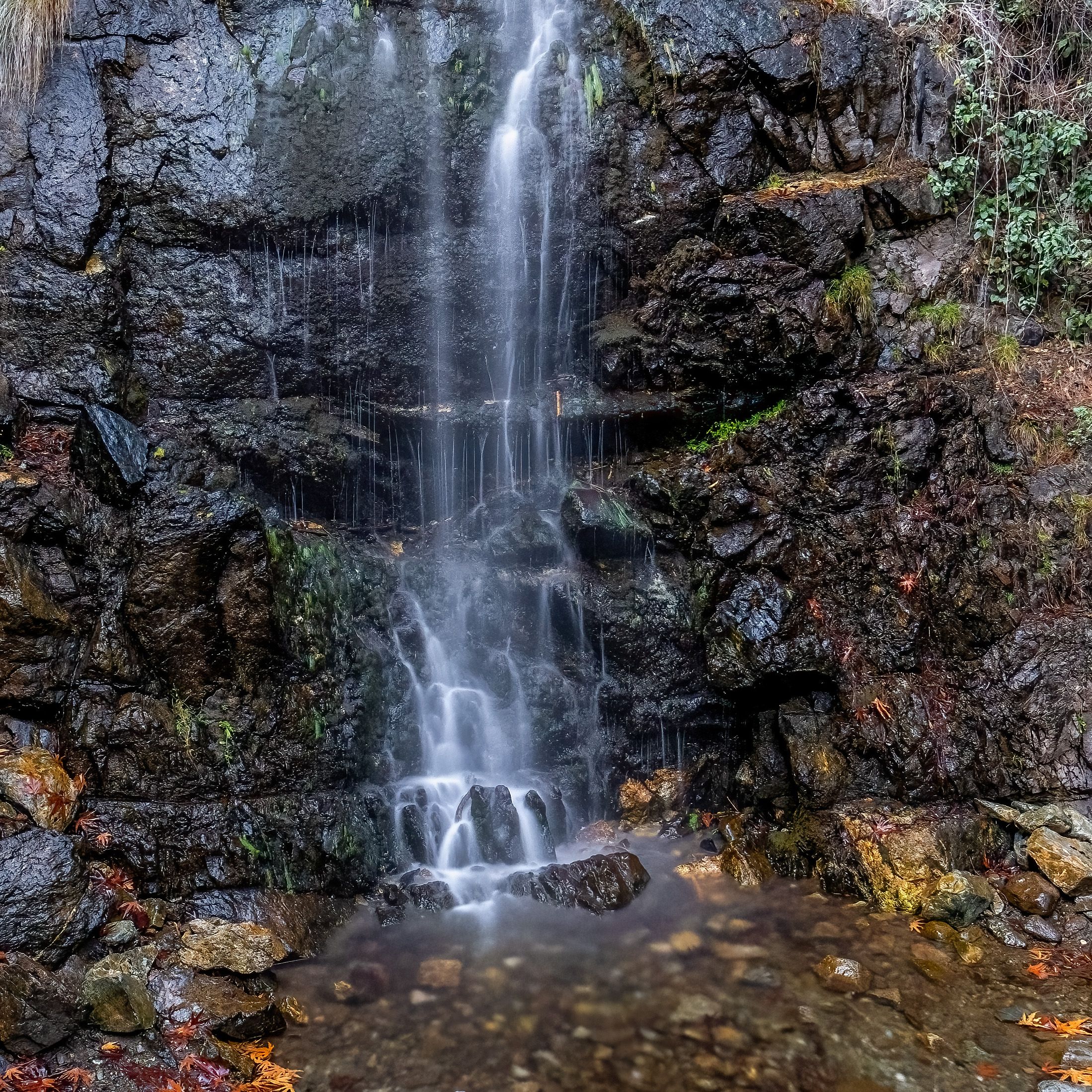 Waterfall Among Rocks · Free Stock Photo