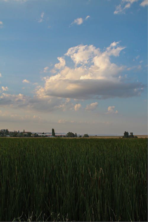 Darmowe zdjęcie z galerii z chmury, lato, niebo