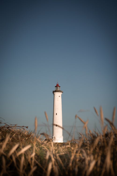 Eenzame Vuurtoren In Denemarken 🌊