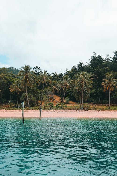 Foto d'estoc gratuïta de Costa, exòtic, illa