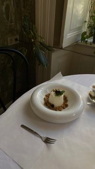 A beautifully plated panna cotta dessert with walnuts and berries, perfect for food photography.