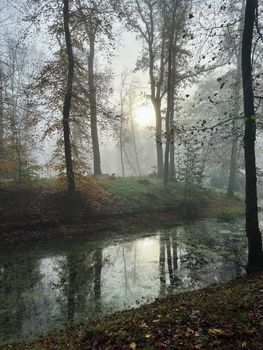 Friedliche Naturszene mit Wald & Fluss